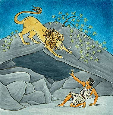 interior illustration: As Adroclus sleeps, a lion stalks him