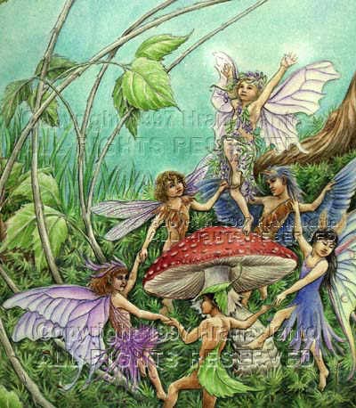 Fairies in the woods