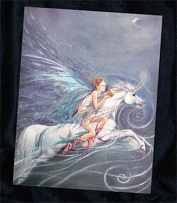 The Fairy on the Flying Unicorn